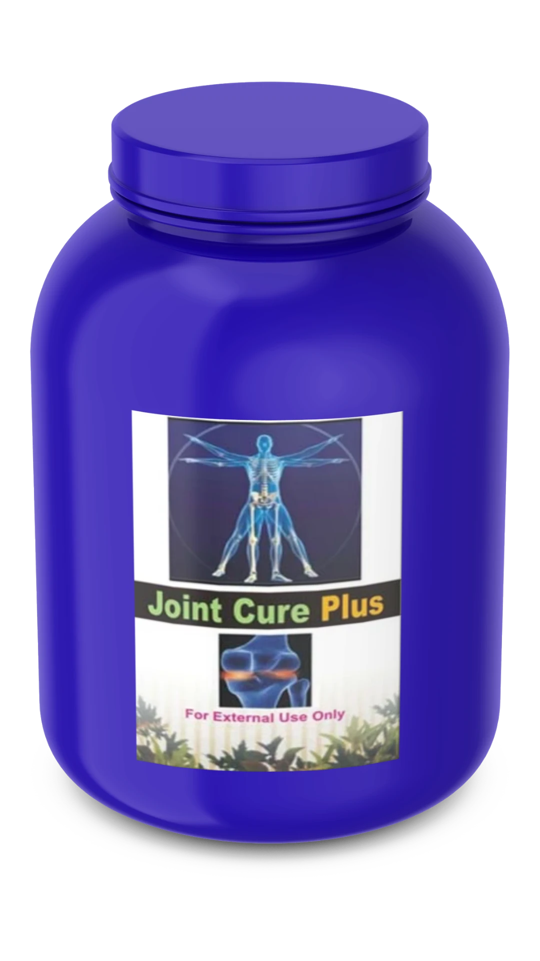 Memory Max supplement